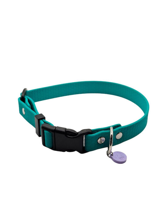 Hundehalsband Hexa Farblich Verstellbares Wasserdichtes Hundehalsband Bailu M 30 45 Breite 2cm Blau-Grün