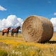 Vevor Nets for Hay