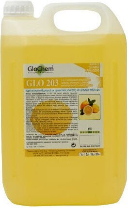 Glochem 203 Professional Cleaning Liquid General Use 5lt