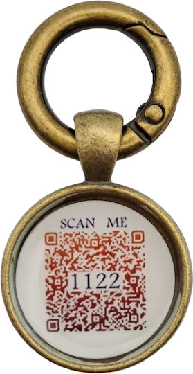 Bailu Ταυτότητα Σκύλου Κυκλική Smart ID Χρυσή Μεταλλική (Προσωποποιημένη)