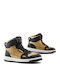 Falco Gold