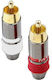 Goobay Stecker RCA männlich Weiß