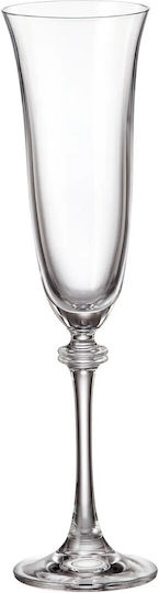 Bohemia Asio Set of Glasses Champagne / White Wine / Cocktail/Drinking made of Crystal Stemmed 190ml 6pcs