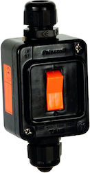 Palazzoli Industrial Socket