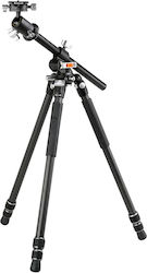 Vanguard Veo 3+ 263cb 160s Premium Tripod Carbon Fiber Multi-angle Column Ball Head Vanguard Veo 3+ 263cb 160s Premium Tripod Carbon Fiber Multi-angle Column Ball Head