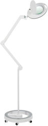 Magnifying Lens Led Medical Lamp 1410060011