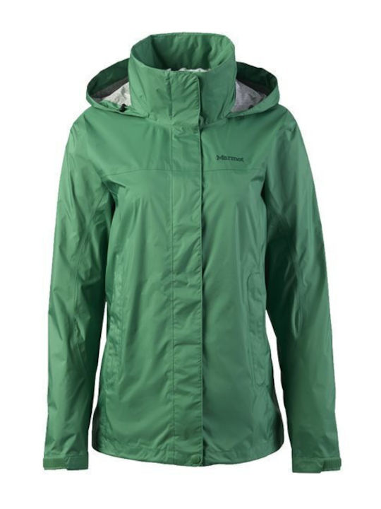 Marmot Precip Eco