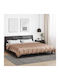 vidaXL Super King Blanket 220x200cm Gold