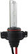 Electric Life Lamps Car H16 Xenon White 12V 1pcs