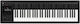 Expressive E Tastatur Osmose 61 mit 61 Tasten Schwarz