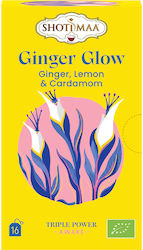 Shoti Maa Tee Triple Power Ginger Glow Tee Zitronen & Kardamom 32g 16 Taschen
