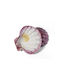 Burner Shell Incense Natural Scallop Lion's Paw 13cm