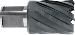 1037001 Oțel De Mare Viteză TiAlN Carrot Weldon Shank 3/4'' Lungime 30 Mm Dim 14.0 Mm