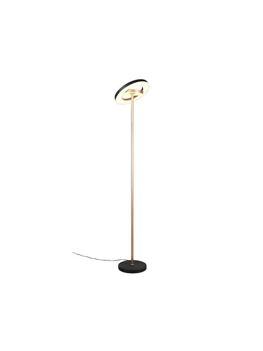 Trio Lighting Guano LED Floor Lamp H160xW30cm. 2100lm Brown