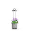 Click Grow Hydrovase Gray Home Kitchen