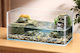 Reptile Terrarium White
