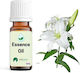 Sueño Aroma Αιθέριο Έλαιο 12ml