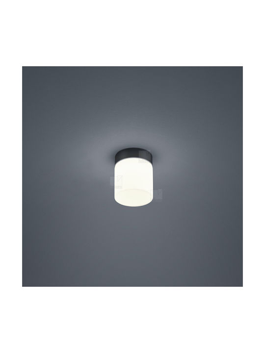 Helestra Таванно осветление Баня 10бр LED Helestra Таванно осветление Баня 10бр LED