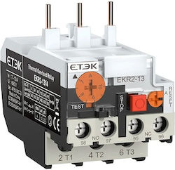 Etek Θερμικό Βιομηχανικού Τύπου EKR2-1310