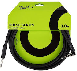 Boston 6,3 Mm De Sex Masculin - 6,3 Mm De Sex Masculin 3m