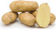 AgriMore Saatgut Kohl 25kg