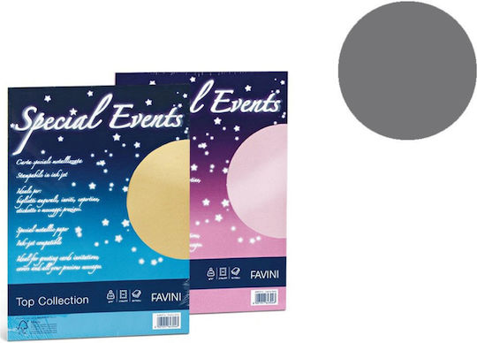 Favini Series Se 5 Envelopes 120g/m2 + 5 Cards 250g/m2 Silver 03 17x17 Ch