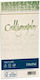 Favini Series Cn 25 Envelopes 100g/m2 Citrus 11x22 C4