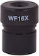 Levenhuk Προσοφθάλμιο Μικροσκοπίου Rainbow Wf16x