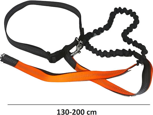 Hundeleine/Führleine Schulung Riemen in Rot Farbe