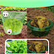 Slug Protection Collar Barrier 12 Pcs Plant Bags 12 Pcs