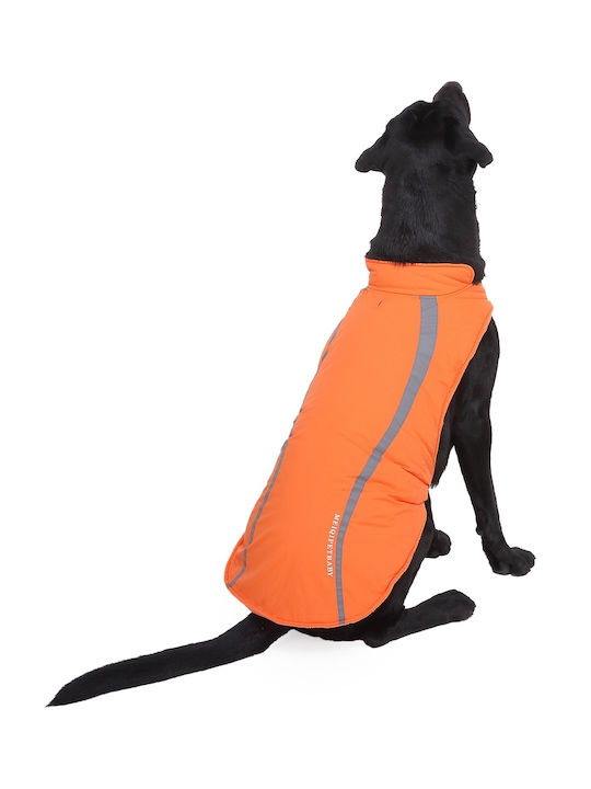 Orange Waterproof / Windproof Dog Coat Small / Medium / Large / XLarge / XXLarge with 20cm Back Length