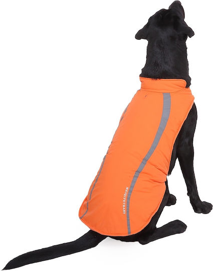 Haine pentru câini Impermeabil / Antivant Portocaliu Mici / Mediu / Mare / XLarge / XXLarge cu Lungimea Spateului 20 cm