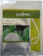 Syngenta Samen Blumenkohl Amerigo