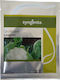 Syngenta Samen Blumenkohl Leocen