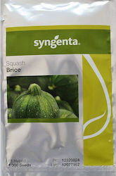 Syngenta Samen Kürbisς Zucchini Brice