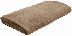 Sunshine Hotel Pool Brown Towel Sunshine Hotel Pool Brown Towel