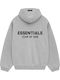 Φούτερ mit Kapuze Light Heather Gray