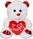 Dorosimo Plush Bear 23 cm