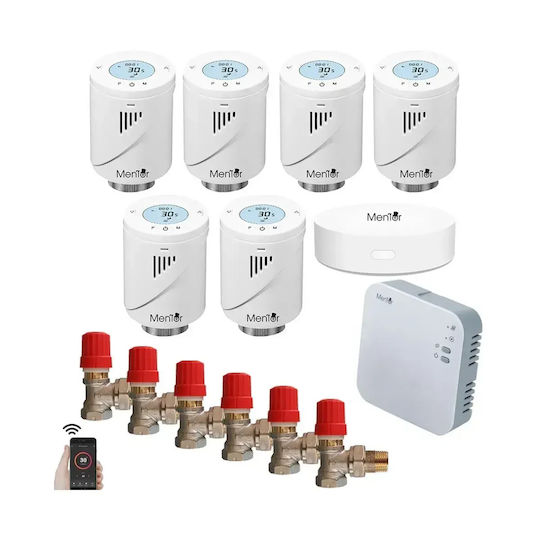 Electronică Valvă termostatică pentru radiatoare cu Wi-Fi pentru un site de comerț electronic pentru încălzirea corpului 6buc