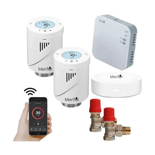Electronică Valvă termostatică pentru radiatoare cu Wi-Fi pentru un site de comerț electronic pentru încălzirea corpului 2buc