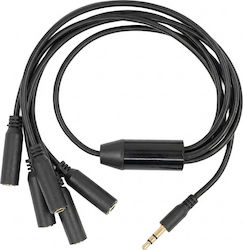 Shelly Pill Splitter 1 To 5 3.5mm Jack