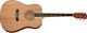 Harley Benton D120nt Akustikgitarre