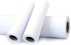 Dry Writing Plotter Roll 0.610mx120m 1 Roll Per Package Φ76 Pli20102