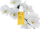 Keune Radiant Gloss Haarserum 100ml