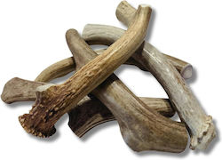Antler Κέρατο Σκύλου