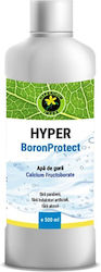 Mouthwash Hypericum Boronprotect 500 Ml