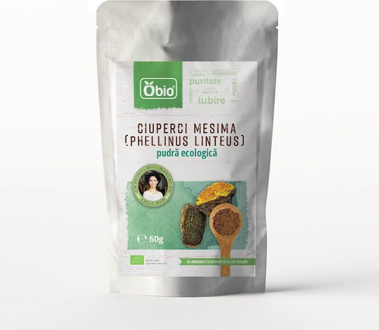Mesima Mushrooms Phellinus Linteus Organic Powder 60g Obio