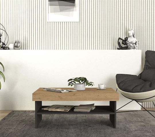 Rechteckiger Kaffeetisch im Modernen Design mit Regal-Esche/Anthrazit 93,6x63,6x40cm