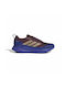 Runfalcon 5 Tr Sport Shoes Running Multicolour