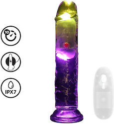 Shots Vibrator Shots Vibrator